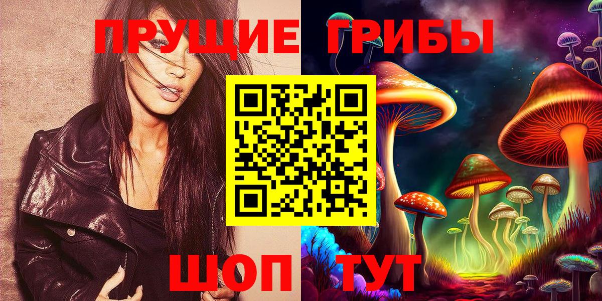 Галлюциногенные грибы Psilocybe  Галлюциногенные грибы Psilocybine cubensis  Вход с VPN  Кинель 